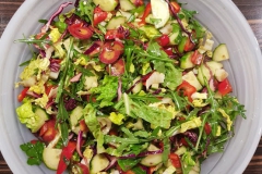 1_Salata