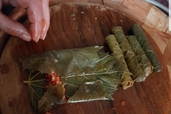 Sarma